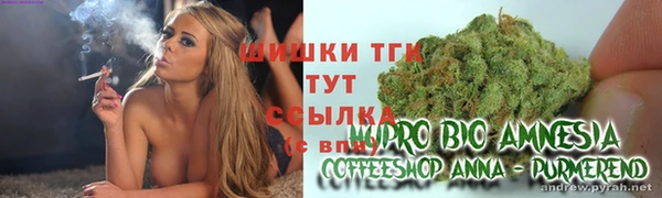 spice Новозыбков