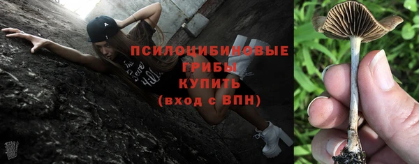spice Новозыбков