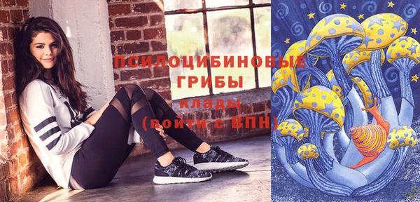spice Новозыбков