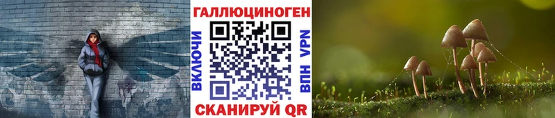 Псилоцибиновые грибы Psilocybine cubensis  Купить закладки  Спасск-Дальний 