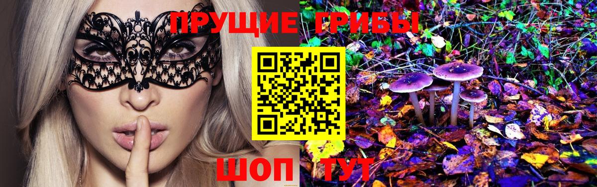 Галлюциногенные грибы Psilocybine cubensis Спасск-Дальний
