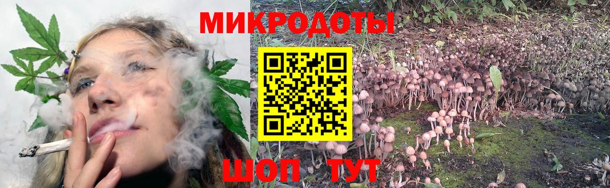 Псилоцибиновые грибы ЛСД  Галлюциногенные грибы Psilocybe  сколько стоит  Вход с VPN  Спасск-Дальний 