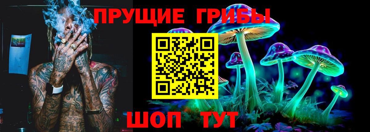 купить   Спасск-Дальний  Псилоцибиновые грибы Psilocybine cubensis 