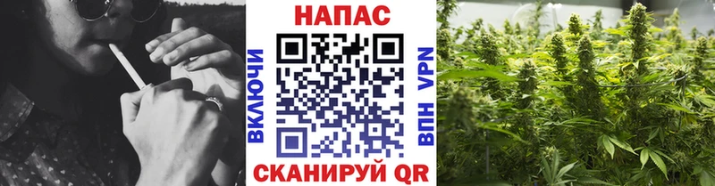 Бошки марихуана план Спасск-Дальний